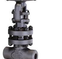 Bonney Forge forged steel valves