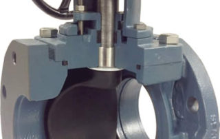 Crispin Plug Valve
